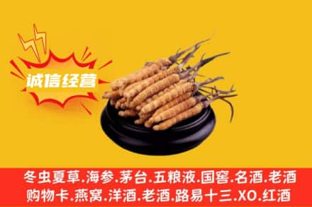 南阳镇平县回收冬虫夏草